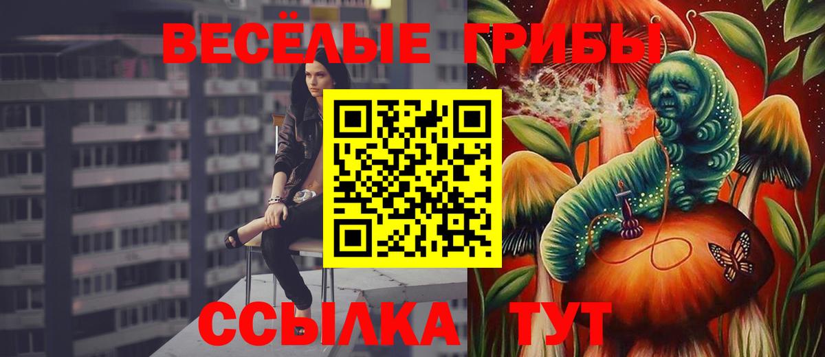 Псилоцибиновые грибы ЛСД Курчалой